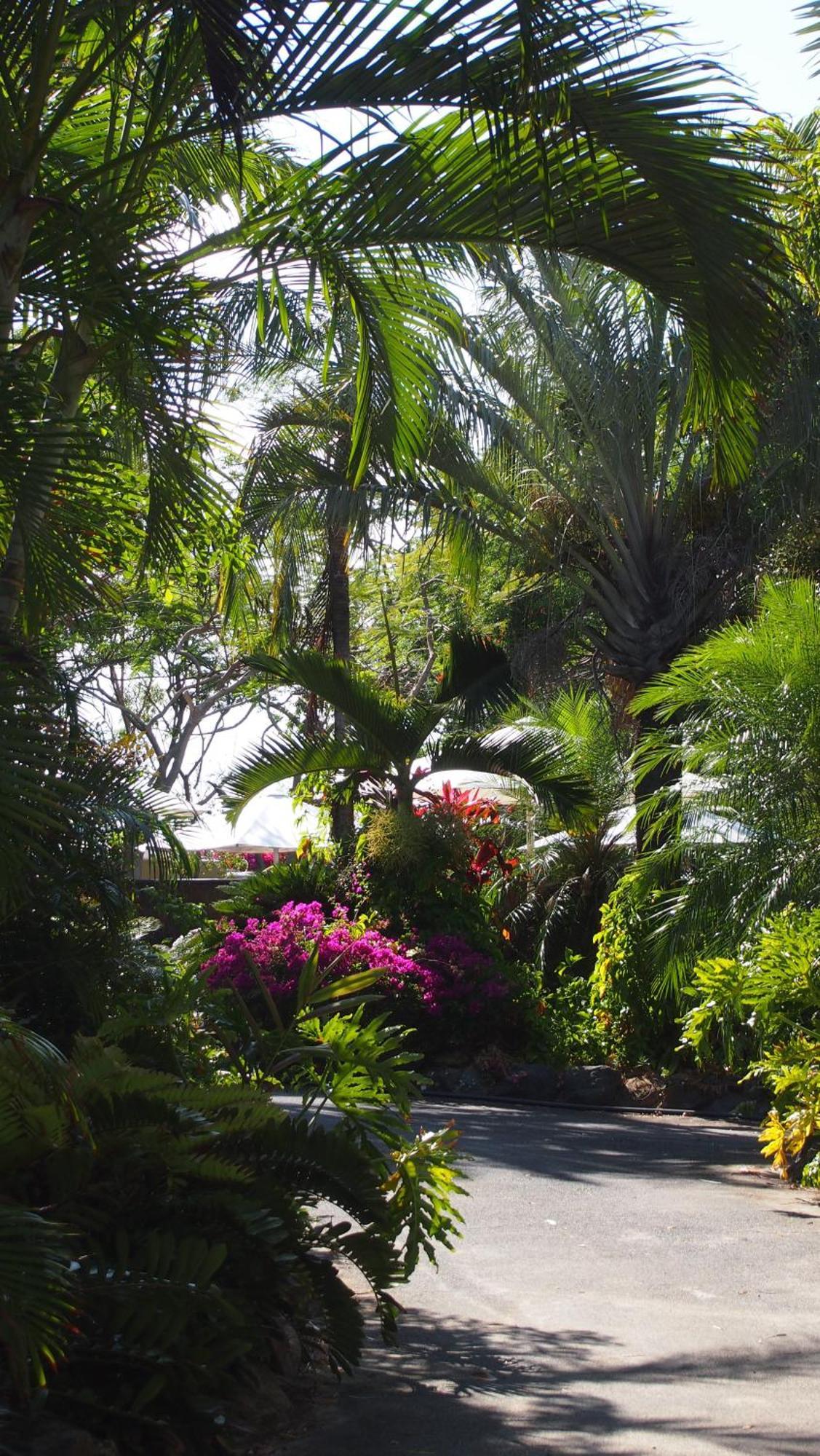 Resort Palm Bay